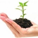 New Poll of Micro Businesses: Who They Are and What They Do for the Economy by John Arensmeyer
